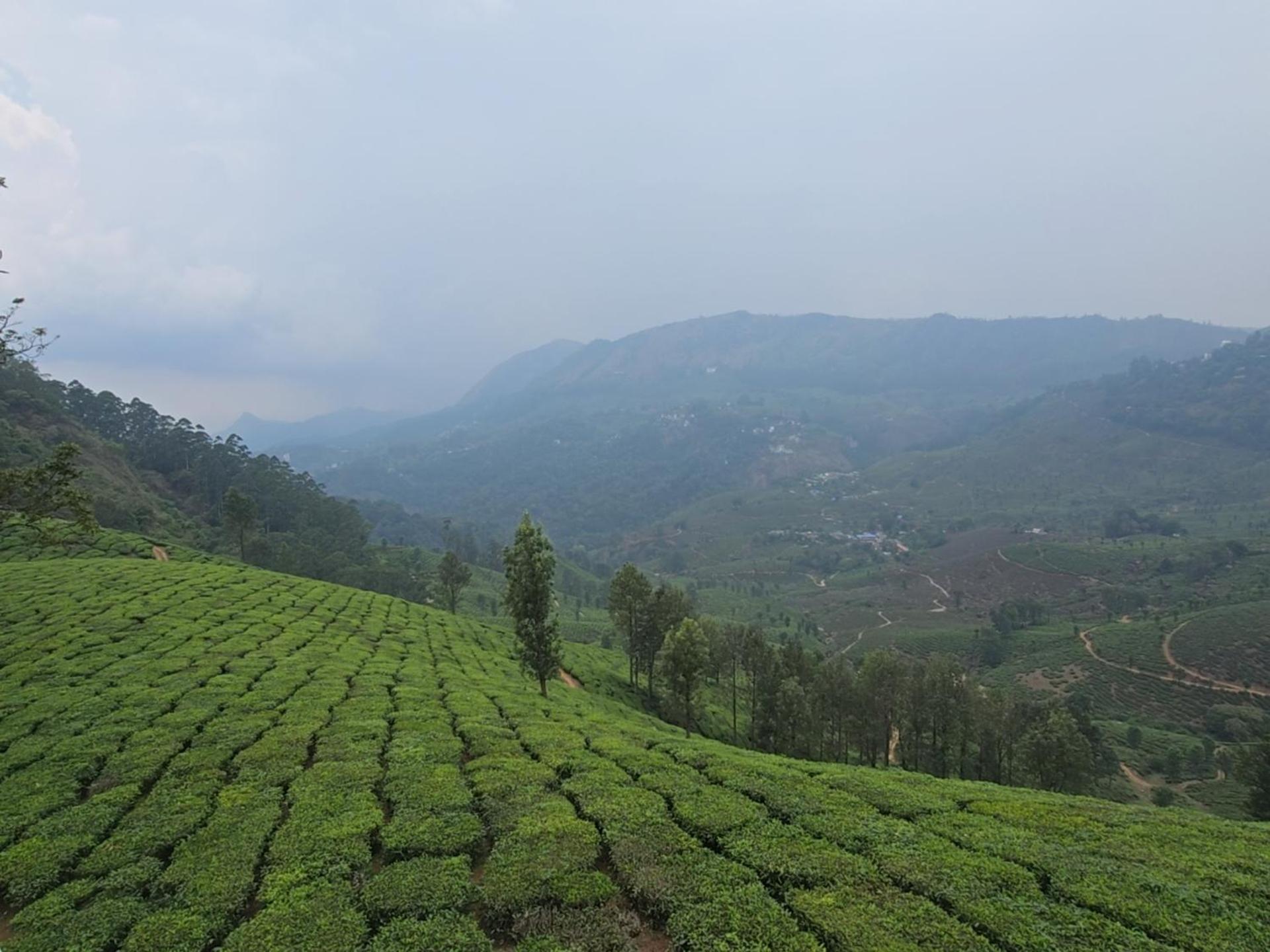 Hotel Beauty Spot Munnar Esterno foto
